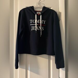 Tommy Hilfiger Navy Hoodie with Red Trim and White Logo Tag